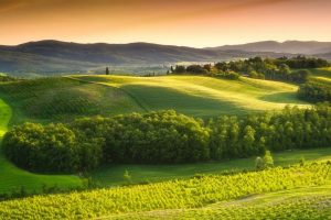 女孩起名禁用字100字(名字中的84个禁用字)