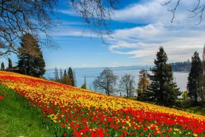 好听罕见绝不重名的女孩名字(好听罕见绝不重名的女孩名字三个字)