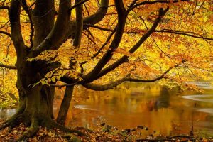 尘字取名(尘字取名寓意及含义)