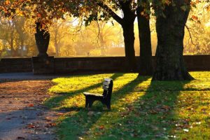 平字取名的寓意和象征(平字取名的寓意和象征意义)