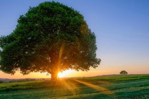 慕字取名(慕字取名的寓意)