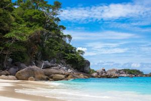 樊姓取名(樊姓取名女孩)