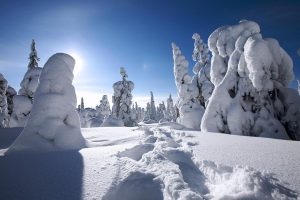 洛姓女孩名字(洛姓女孩名字古风名字)