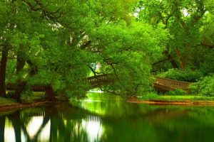 独一无二姓林女孩名字(独一无二姓林女孩名字好听)