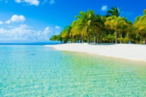 独一无二的单字名字(独一无二的单字名字男)