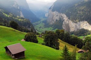 班级小菜园取名(班级小菜园取名寓意)