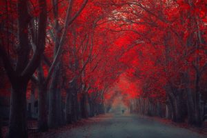 生辰八字起名免费(生辰八字起名免费取名)