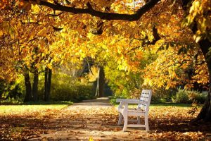 网名字大全霸气的(网名字大全霸气的男生)