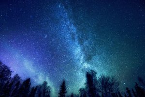 草字头洋气女孩名字(草字头洋气女孩名字小名)