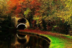 起名(起名字大全免费)