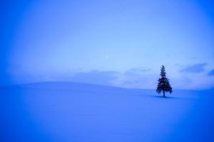 车行名字大全大气招财(吸金聚财的公司名字)