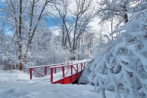 金字旁的女孩名字(金字旁的女孩名字大全)