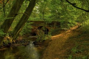 陈周两姓取名(陈周两姓取名男孩)