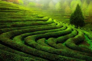 陈姓女孩名字(陈姓女孩名字大全2023属兔)