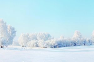 霸气有内涵的公司名字(三字顺口名字公司)