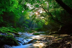 韩姓女孩名字洋气顺口(韩姓女孩名字洋气顺口两字)