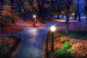 三藏免费起名~（宝宝起名网站推荐）