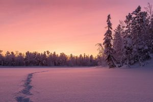 五行八字起名~（起名字大全）