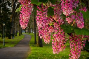 付姓起名~（付姓起名灵感）