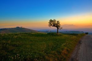 余姓起名~（起名技巧与方法）