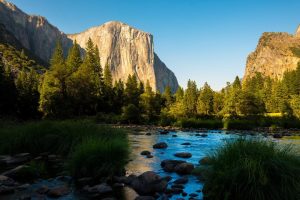 倪姓起名~（倪姓起名技巧）