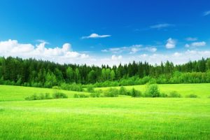 免费周易起名~（周易起名免费咨询）