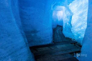 免费生辰八字起名~（八字起名免费咨询）