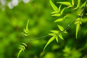 免费起名字~（起名网站免费）