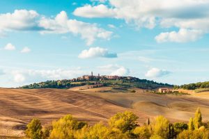 免费起名字大全~（在线起名字网站）