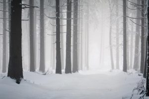 免费起名字网~（免费姓名起名网）