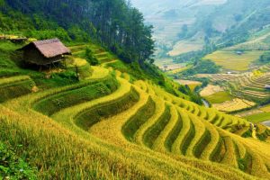 免费起名软件~（起名工具免费下载）