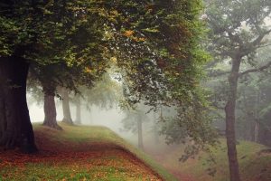 八字起名字大全男孩~（男孩八字起名字推荐）