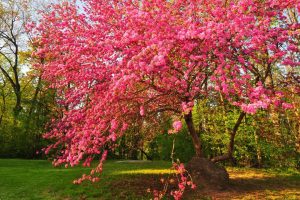 八字起名网~（宝宝起名大全推荐）