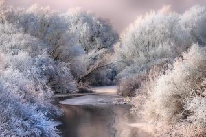 化妆品起名~(创意化妆品命名)