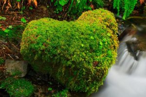 卜易居起名~（占卜名字指南）