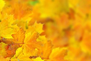 双胞胎男孩起名大全~(双胞胎男孩名字推荐)