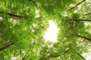 名典起名网~（宝宝起名网）