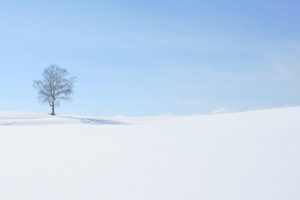 名典起名网免费取名~（免费起名网站推荐）