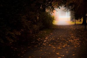 周易生辰八字起名网~（周易八字起名网站）