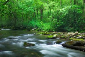 商店起名~(创业店铺起名灵感)