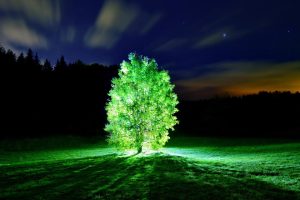 商标起名网免费取名~（品牌起名免费取名网）