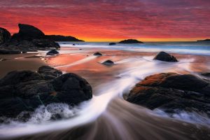 在线起名~（在线取名工具）