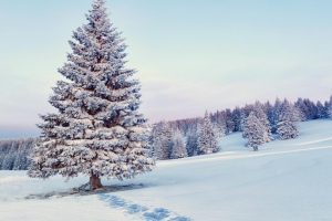 在线起名免费取名~（免费取名在线工具）