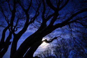 姓刘起名~（给刘姓起名字）