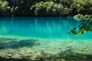 孙姓女宝宝起名~（孙姓女孩起名大全）