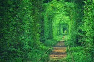 孩子起名~（宝宝取名指南）