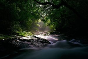 孩子起名字大全免费~（免费起名字查询）