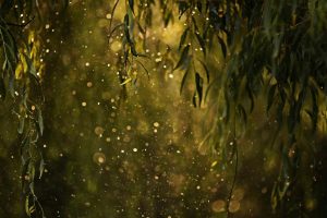 宝宝免费起名~（宝宝起名网站推荐）