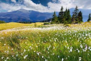 宝宝起名大全~（宝宝取名灵感）