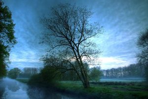 宝宝起名字大全免费~（宝宝起名灵感大全免费）